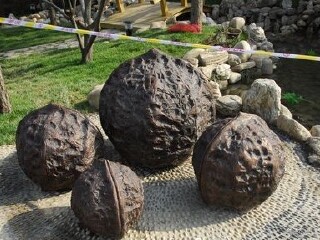 陕西省商洛展园