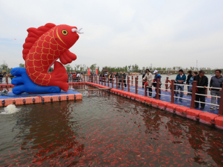 仟睿达水上世界