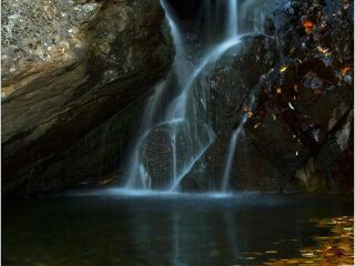 茅荆坝森林公园