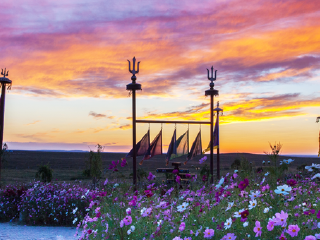 鄂尔多斯大草原