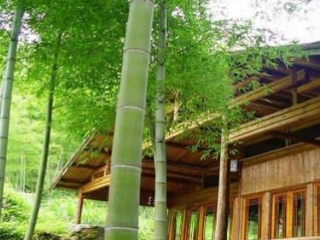 黄山牯牛降景区