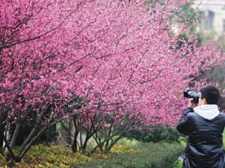 湖州古木艺术馆