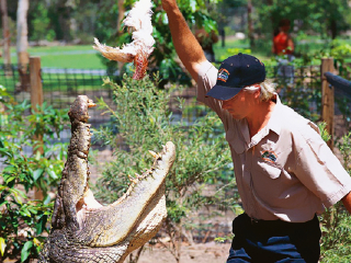 哈特利鳄鱼探险公园