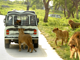 秦岭野生动物园