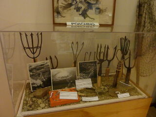 大西洋鲑鱼博物馆