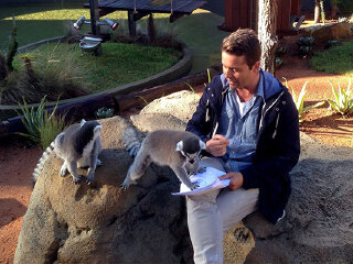 悉尼塔龙加动物园