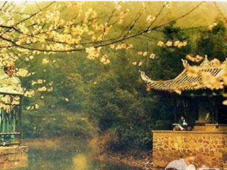 武陵岩奇峡景区