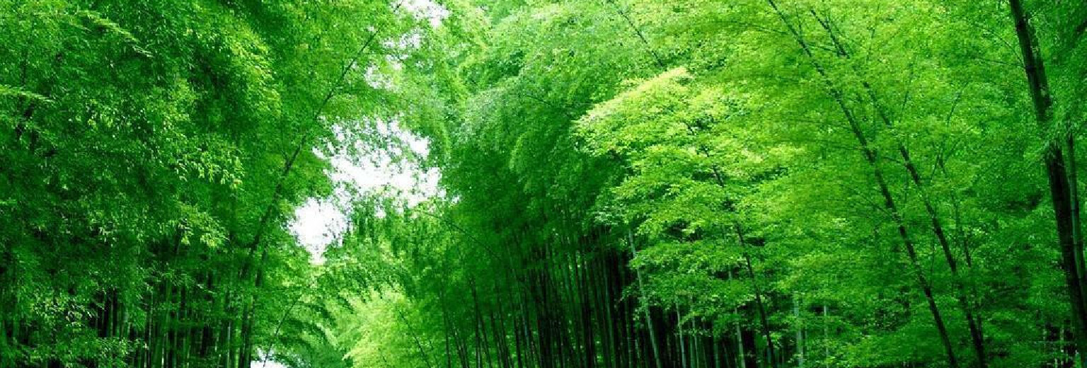 竹洞天风景区