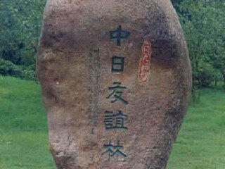 中日友谊林