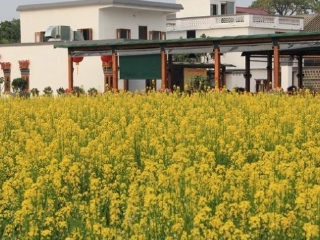 灯笼沙水乡旅游风景区