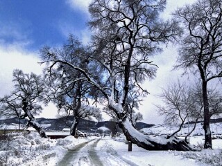 岗山国家森林公园