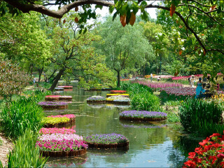 小黑江森林公园