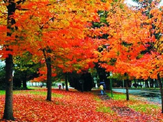 小龙门森林公园