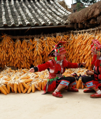 景点图片
