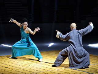 大连武术博物馆太极秀