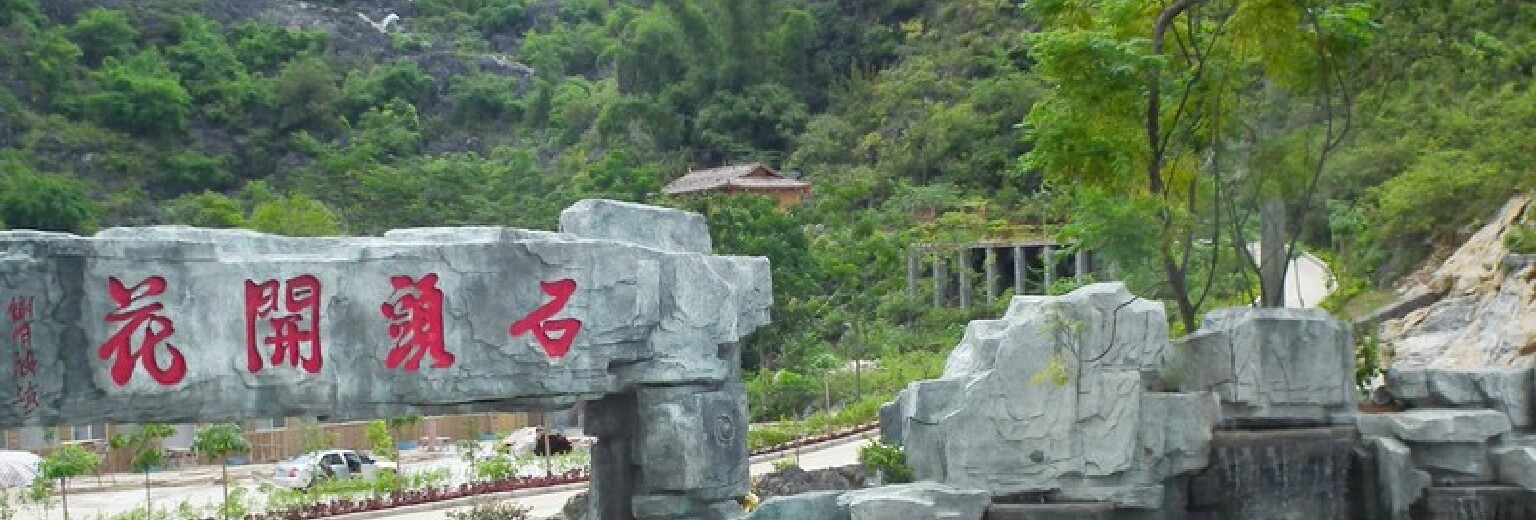 都安石头开花景区旅游攻略