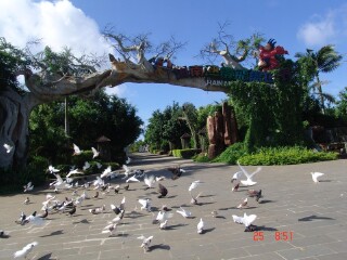 海南热带飞禽世界