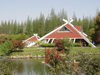 东平国家森林公园