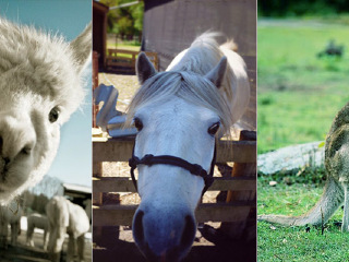 菲利普自然公园丘吉尔农场