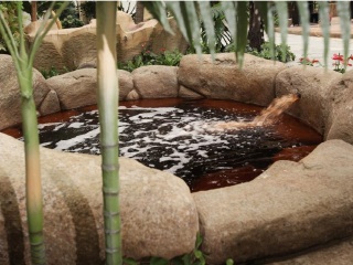 北京松鹤建国培训中心