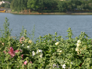 重庆花样龙水湖