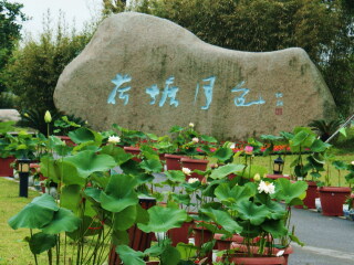 荷塘月色湿地公园