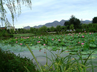 莲花湖
