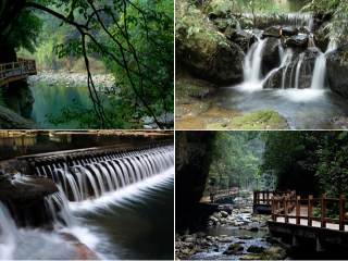 重庆万盛黑山谷生态旅游区
