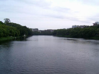固原西湖公园