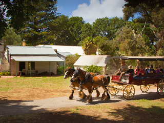 菲利普自然公园丘吉尔农场