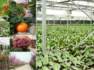 济宁市农业高新技术示范园