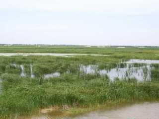 河口生态游乐园