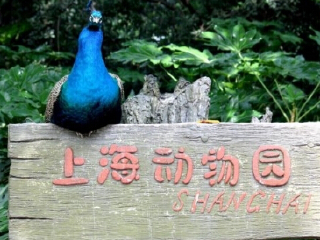 上海动物园
