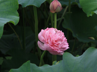 上海海湾国家森林公园