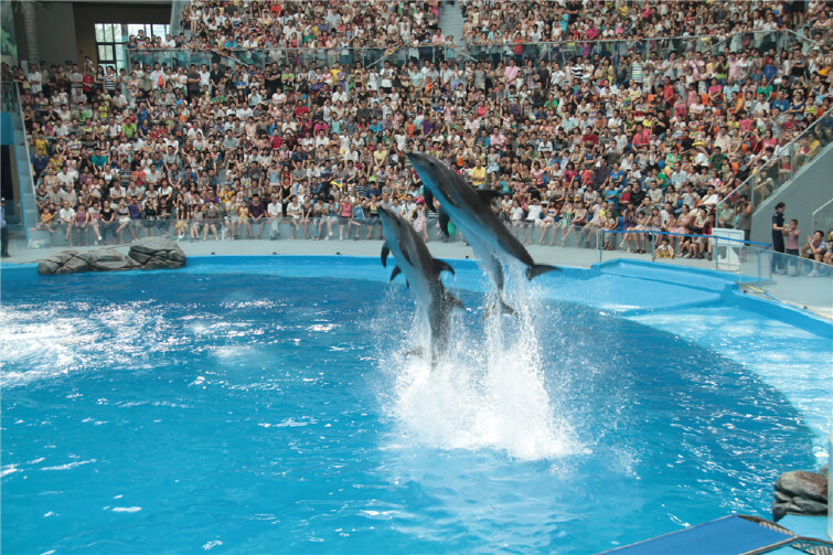 鲸豚表演场
