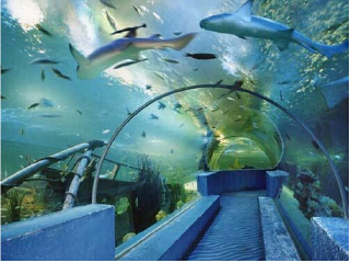 曲江海洋极地公园