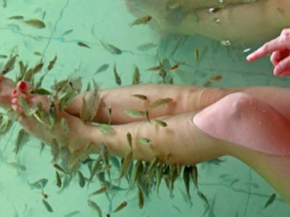 罗浮山温泉宾馆天池温泉