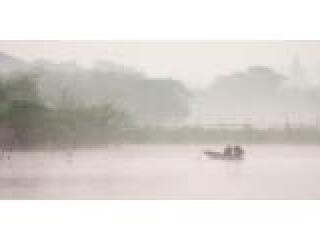 德清下渚湖湿地公园