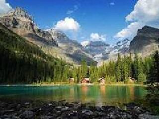 云杉林省级公园