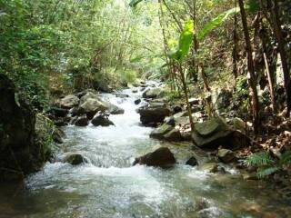 水坑生态旅游娱乐区