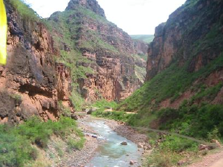 类乌齐马鹿保护区