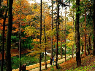 四明山森林公园