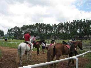 骁骑营马术俱乐部