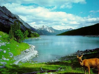 南澳大利亚蓝湖