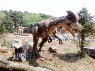 花果山神秘谷风景区