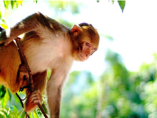 龙潭国家森林公园