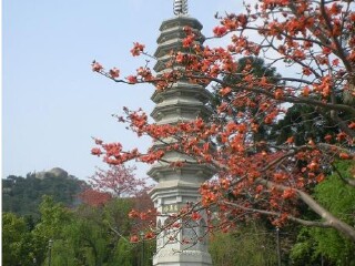小普陀寺