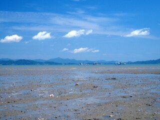 栗浦海水绿茶温泉
