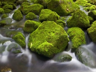 仙峰国家森林公园