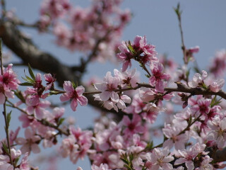 万紫千红生态养生旅游度假区